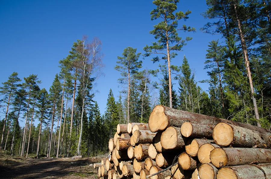 Tlač dokladov o pôvode dreva